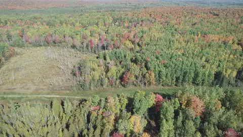 40 Acres Leeman, Ralph, MI 49877 photo 67