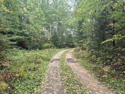 40 Acres Leeman, Ralph, MI 49877 photo 2