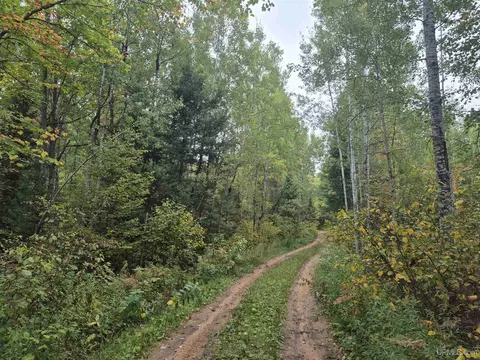 40 Acres Leeman, Ralph, MI 49877 photo 14
