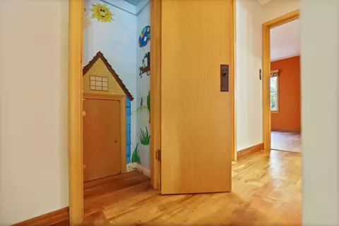 1130 S S Pne, Frankenmuth, MI 48734 photo 46