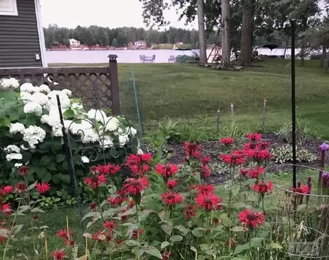 Exterior - 1551 Compton, Gladwin, MI 48624 photo 17 of 17