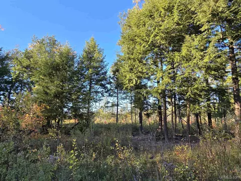 tbd Beartown, Baraga, MI 49908
