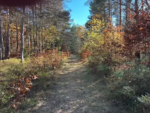 58 E Acres E Cranberry Lk, Harrison, MI 48625 photo 3