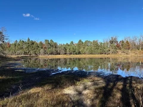 58 E Acres E Cranberry Lk, Harrison, MI 48625 photo 6