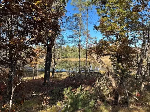 58 E Acres E Cranberry Lk, Harrison, MI 48625 photo 5