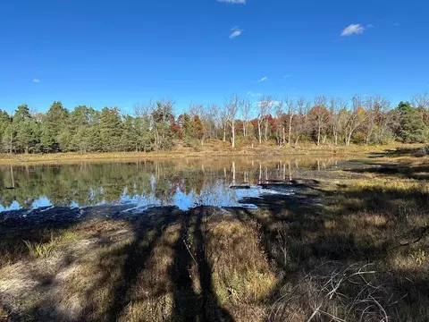 58 E Acres E Cranberry Lk, Harrison, MI 48625 photo 7