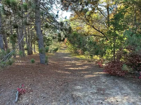 58 E Acres E Cranberry Lk, Harrison, MI 48625 photo 11