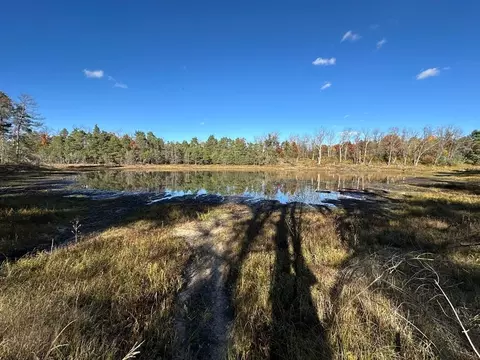 58 E Acres E Cranberry Lk, Harrison, MI 48625 photo 8