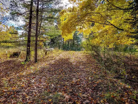 lot113 E Gladwin, Harrison, MI 48625 photo 2