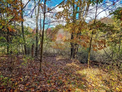 lot113 E Gladwin, Harrison, MI 48625 photo 10