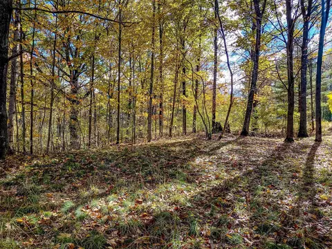 lot113 E Gladwin, Harrison, MI 48625 photo 7