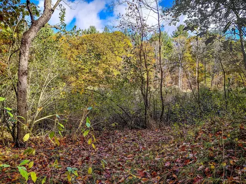 lot113 E Gladwin, Harrison, MI 48625 photo 9