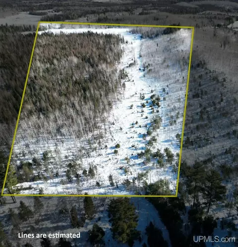 tbd Murray 20, Perronville, MI 49873