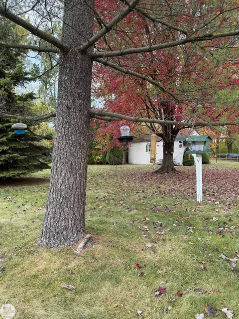 Exterior - 9560 Folkert, Algonac, MI 48001 photo 10 of 15