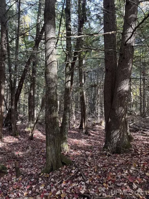 tbd Off Johnson, L'anse, MI 49946 photo 14