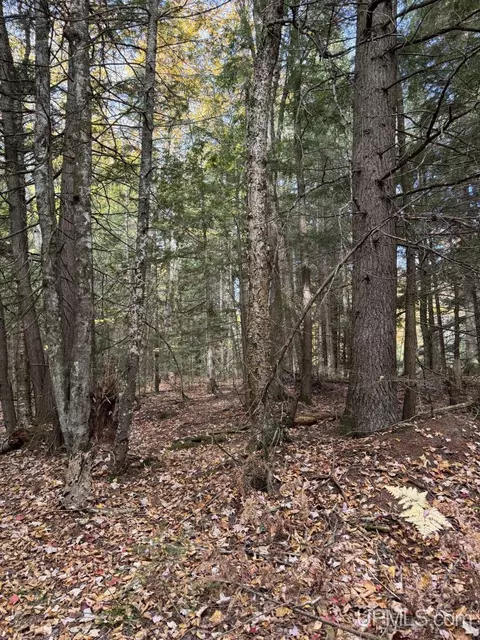 tbd Off Johnson, L'anse, MI 49946 photo 8