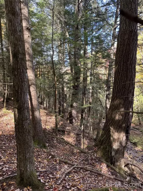 tbd Off Johnson, L'anse, MI 49946 photo 5
