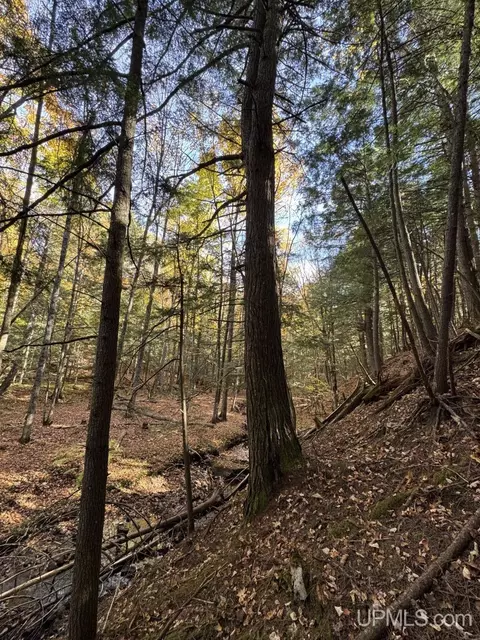 tbd Off Johnson, L'anse, MI 49946 photo 11