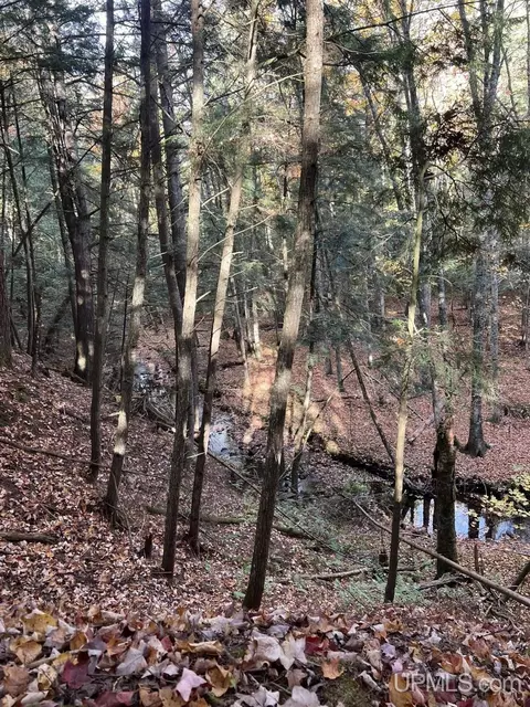 tbd Off Johnson, L'anse, MI 49946 photo 10