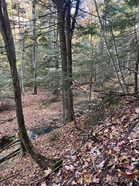 tbd Off Johnson, L'anse, MI 49946 photo 17