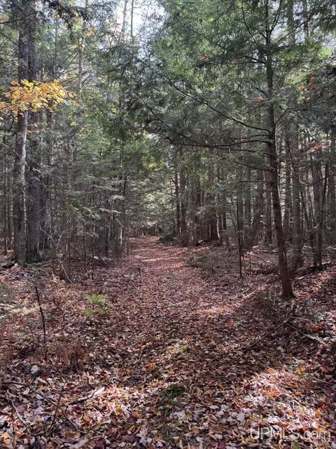 tbd Off Johnson, L'anse, MI 49946 photo 13