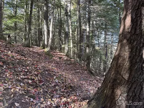 tbd Off Johnson, L'anse, MI 49946 photo 3