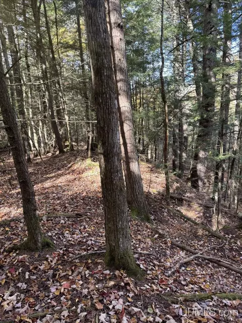 tbd Off Johnson, L'anse, MI 49946 photo 4