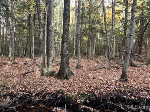 tbd Off Johnson, L'anse, MI 49946 photo 18
