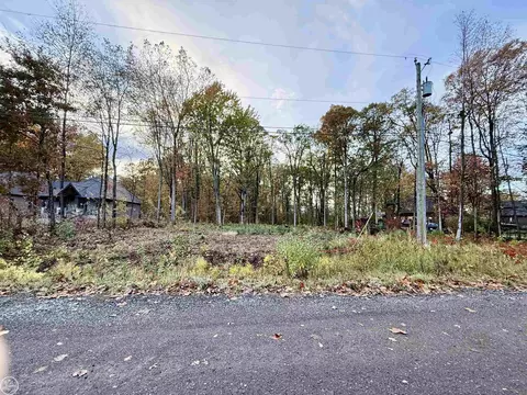 62747 Braun, Washington, MI 48094