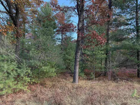 lot99 Wilderness, Alger, MI 48610