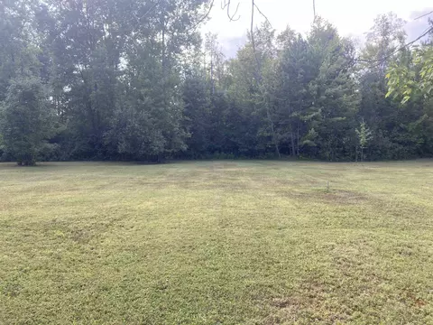 Exterior - 542 Silver, Gladwin, MI 48624 photo 8 of 13