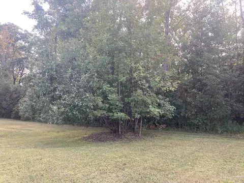 Exterior - 542 Silver, Gladwin, MI 48624 photo 11 of 13