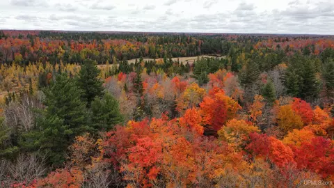 tbd Timberland, Michigamme, MI 49861