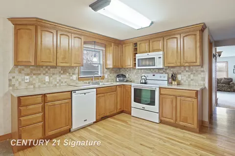 10260 Macrae, Freeland, MI 48623 photo 16