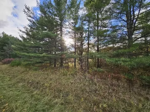 20 Acres Deerhaven, Alger, MI 48610