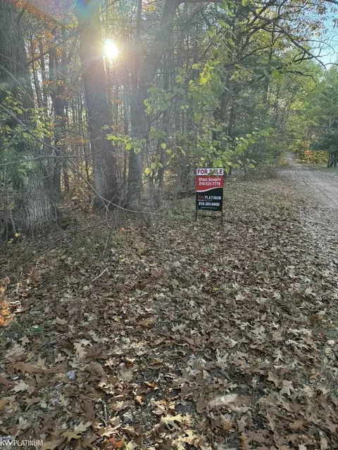 00 Park NE, Kalkaska, MI 49646