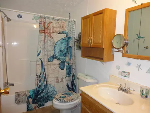Bath - 3200 Cedar Shores Dr, Harrison, MI 48625 photo 5 of 6