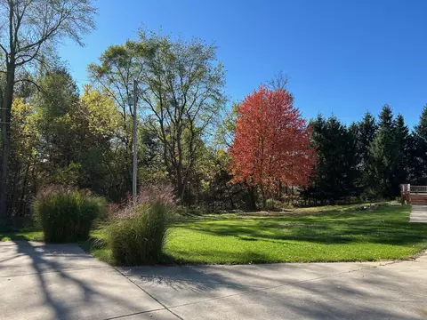 320 Williams, Perry, MI 48872 photo 8