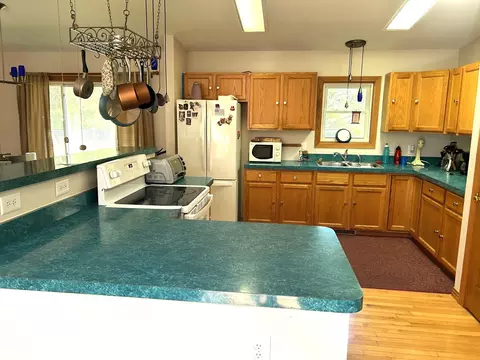 320 Williams, Perry, MI 48872 photo 14