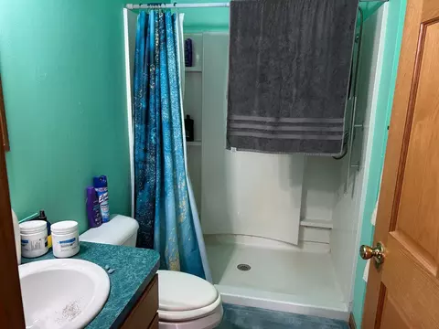 320 Williams, Perry, MI 48872 photo 29