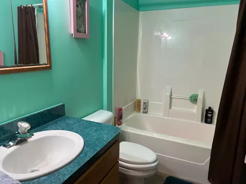 320 Williams, Perry, MI 48872 photo 30