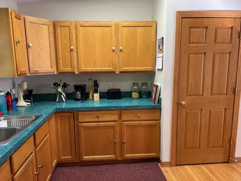 320 Williams, Perry, MI 48872 photo 15