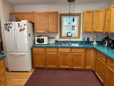 320 Williams, Perry, MI 48872 photo 13