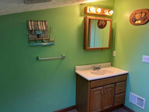 320 Williams, Perry, MI 48872 photo 24