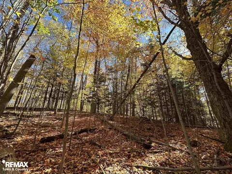 3077 Phelps Lk, Mayville, MI 48744