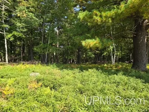 tbd W Grant, Iron Mountain, MI 49801