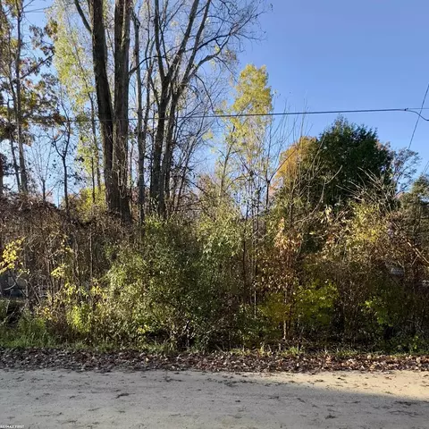 V/l Woodlawn, Columbiaville, MI 48421