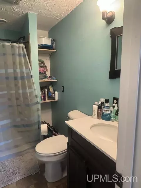 1210 River, Germfask, MI 49836 photo 8