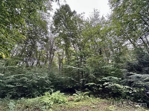20442 Pinewood, Newberry, MI 49868