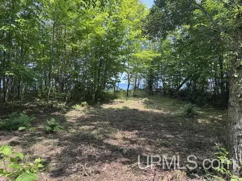 Parcel 153 Shore, Au Train, MI 49806 photo 7